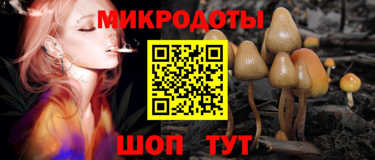 Галлюциногенные грибы мухоморы Домодедово